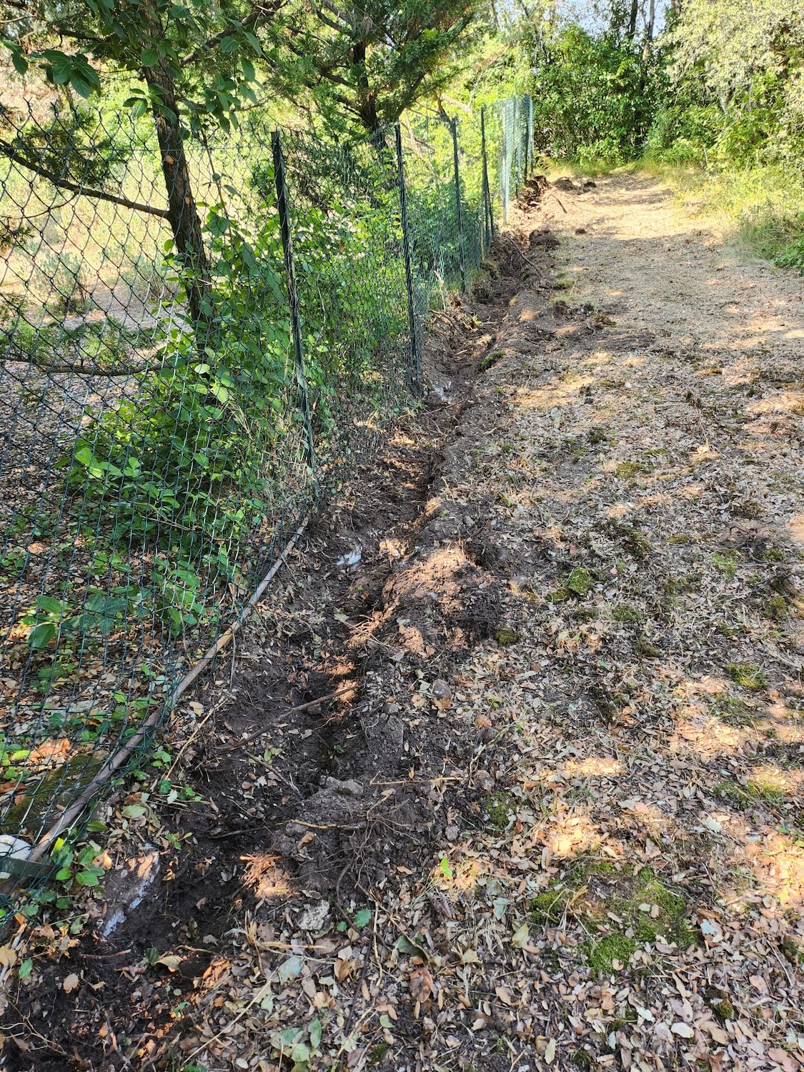 Tranchée pour Mur de Clôture : Entreprise de Rénovation à Nîmes Travaux de préparation de tranchée pour l'installation d'un mur de clôture par notre entreprise de rénovation à Nîmes. Nos experts garantissent des fondations solides et durables pour vos projets de construction.